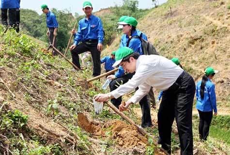 Honda Việt Nam trồng rừng